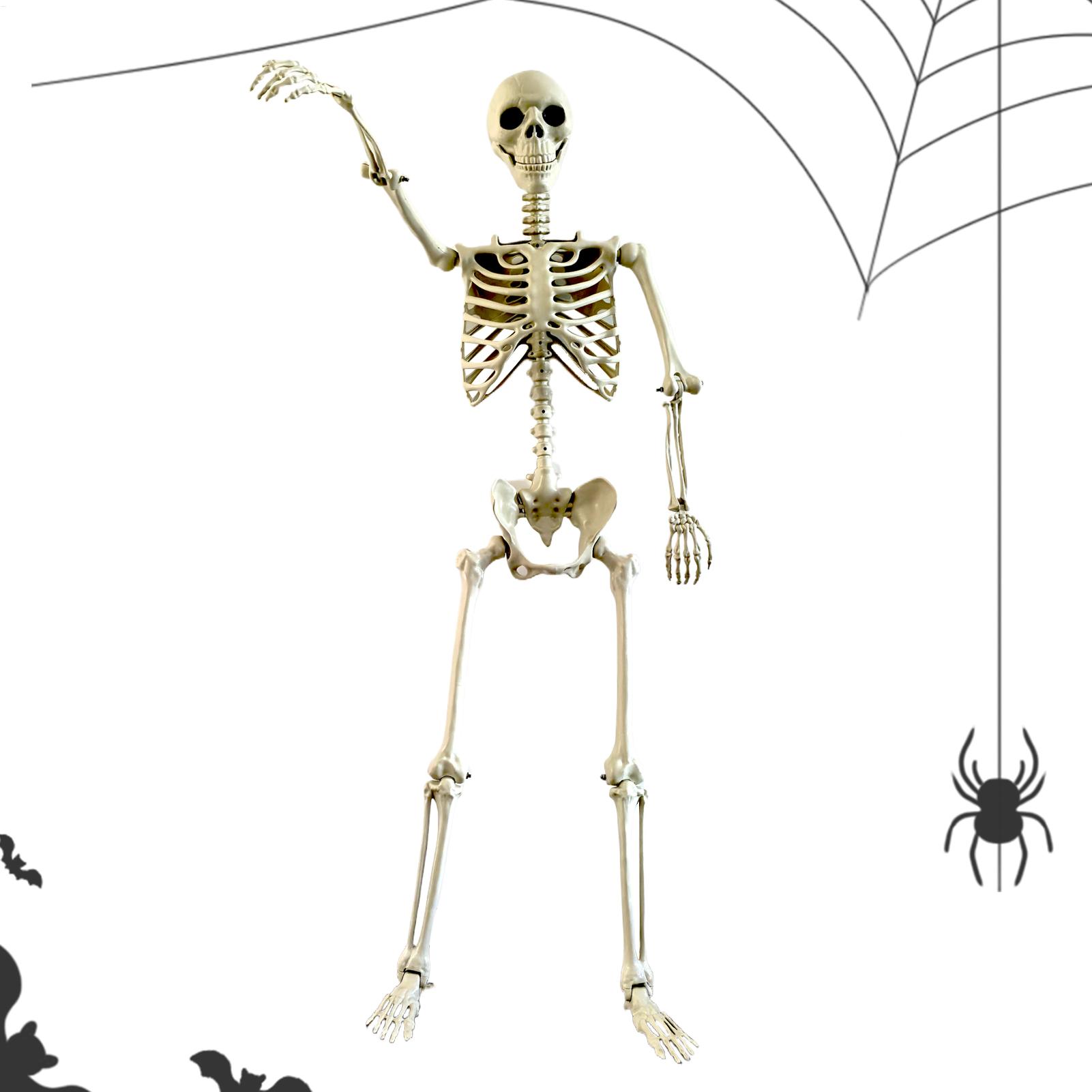 Bonsai Garden Ideas - Halloween Outdoor Skeletons Realistic Posable Skeleton