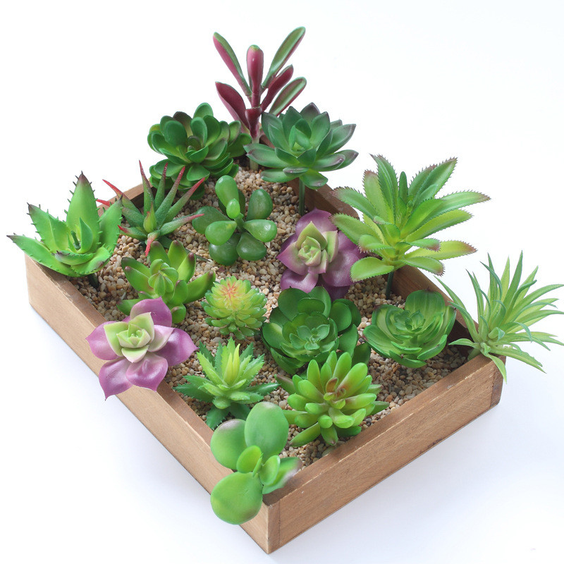 2021 Artificial Succulents Pla - огляд і ціна Bonsai Garden Ideas