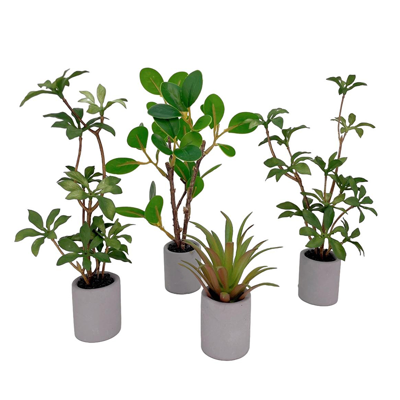 1:6 Dollhouse Miniature Potted - огляд і ціна Bonsai Garden Ideas