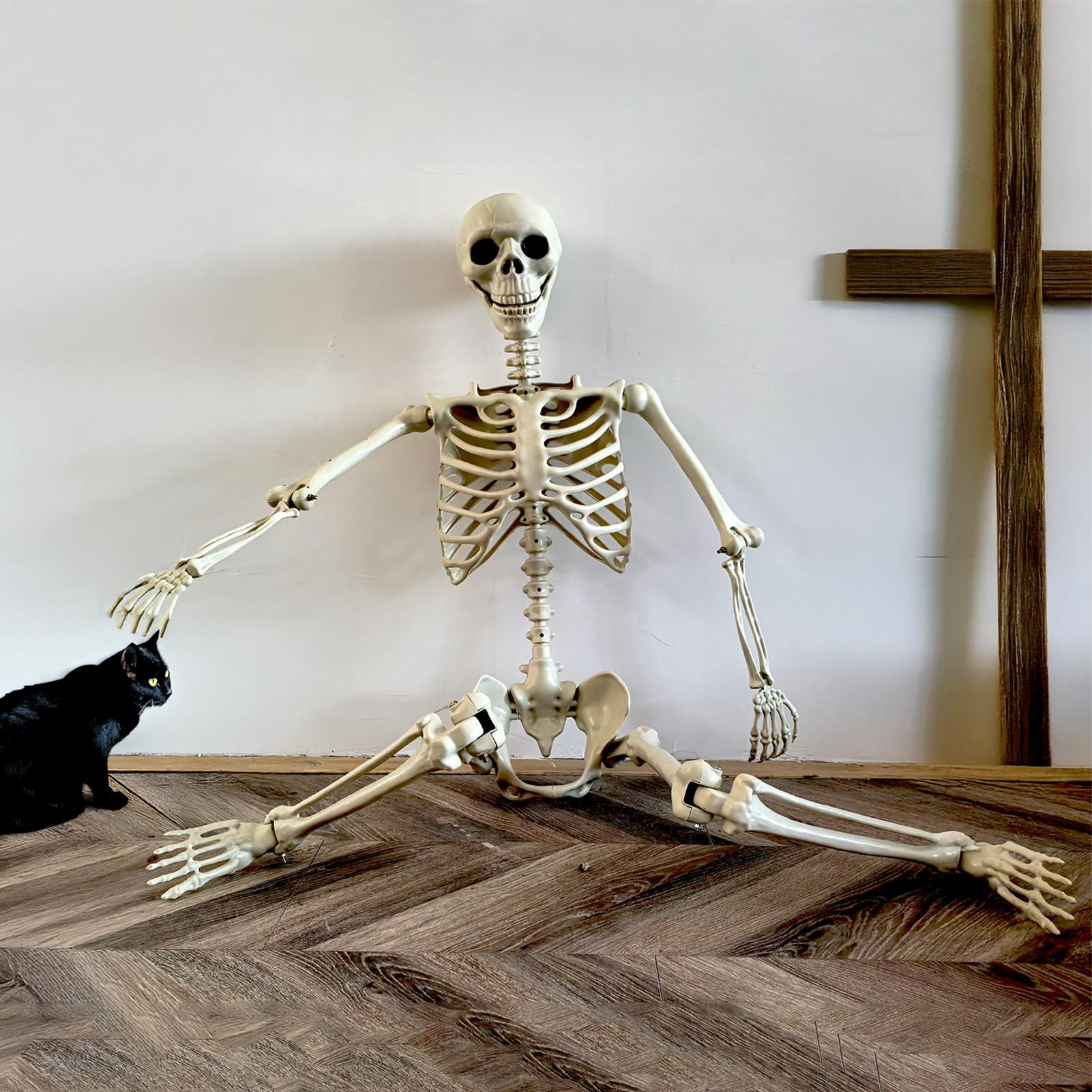 Halloween Outdoor Skeletons Re - огляд і ціна Bonsai Garden Ideas