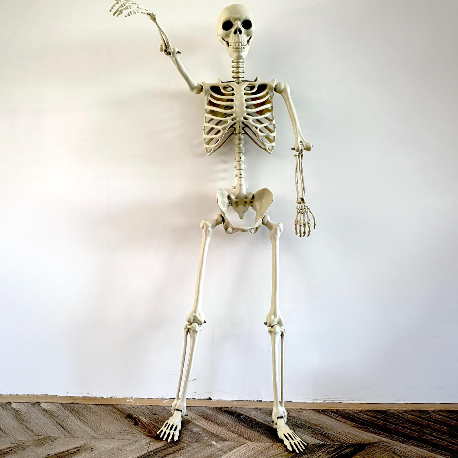 Halloween Outdoor Skeletons Re - огляд і ціна Bonsai Garden Ideas