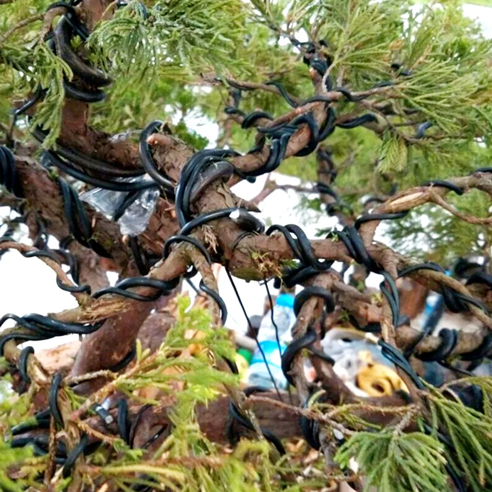 4 Rolls Bonsai Wire Set Anodiz - огляд і ціна Bonsai Zen Garden Set